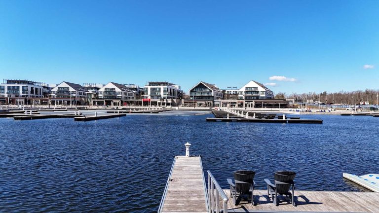 59-web-or-mls-3793-mangusta-ct