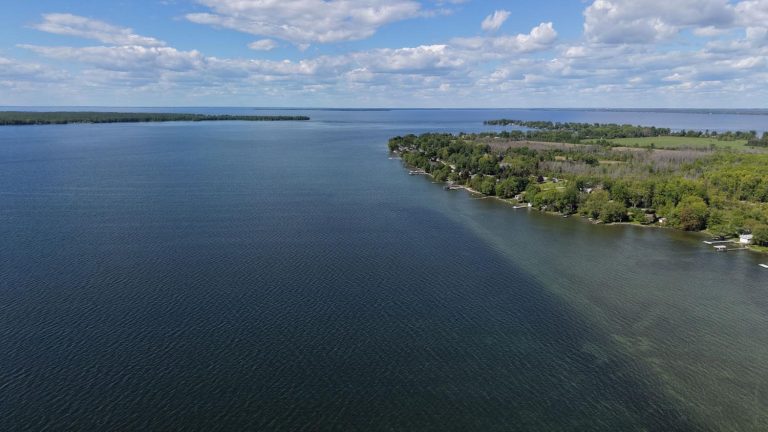 89-web-or-mls-98-mcrae-beach-s